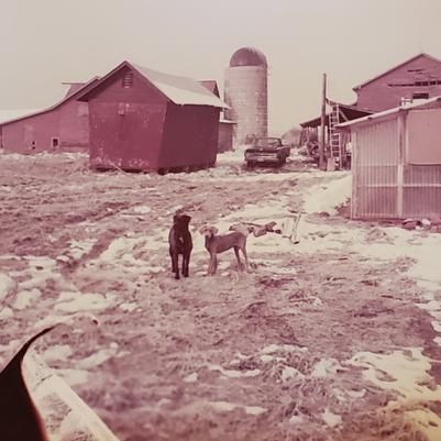 Colesville Nursery Images